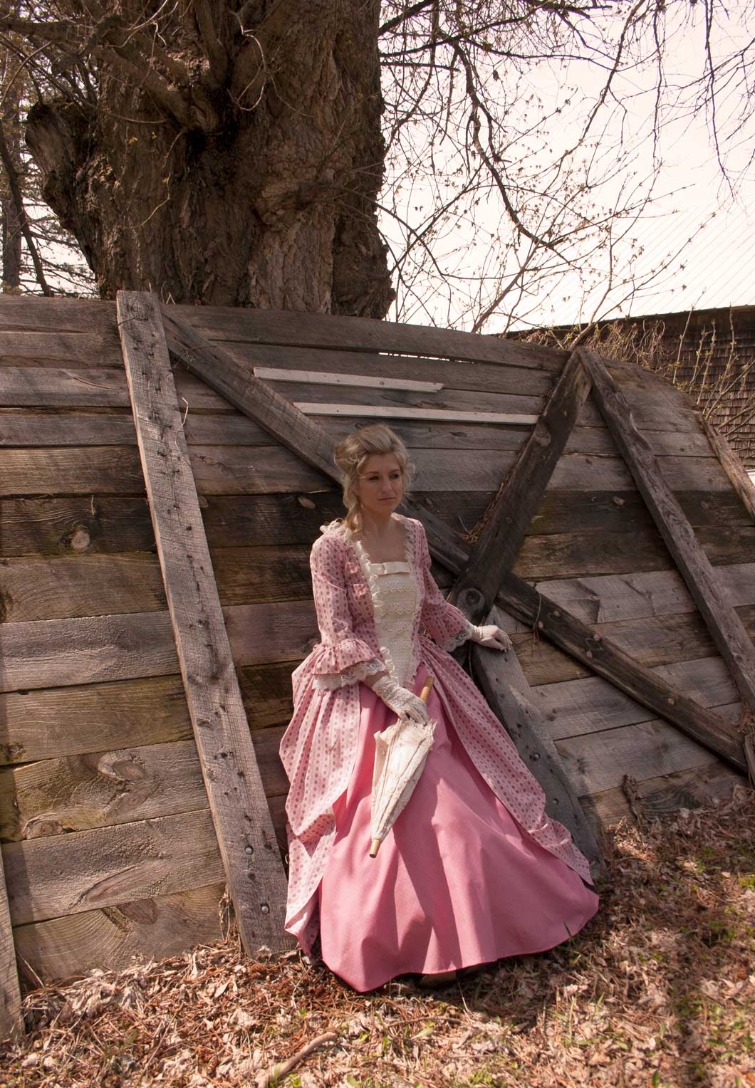 Abigail Revolutionary Style Gown