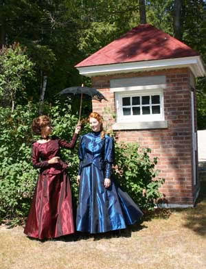 Fancy Victorian Taffeta suits